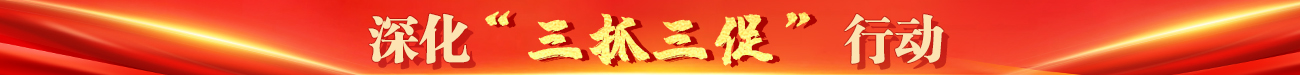 縱深推進“三抓三促”行動
